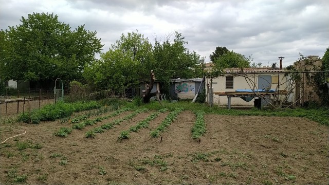 Mon jardin en prairie à Alès