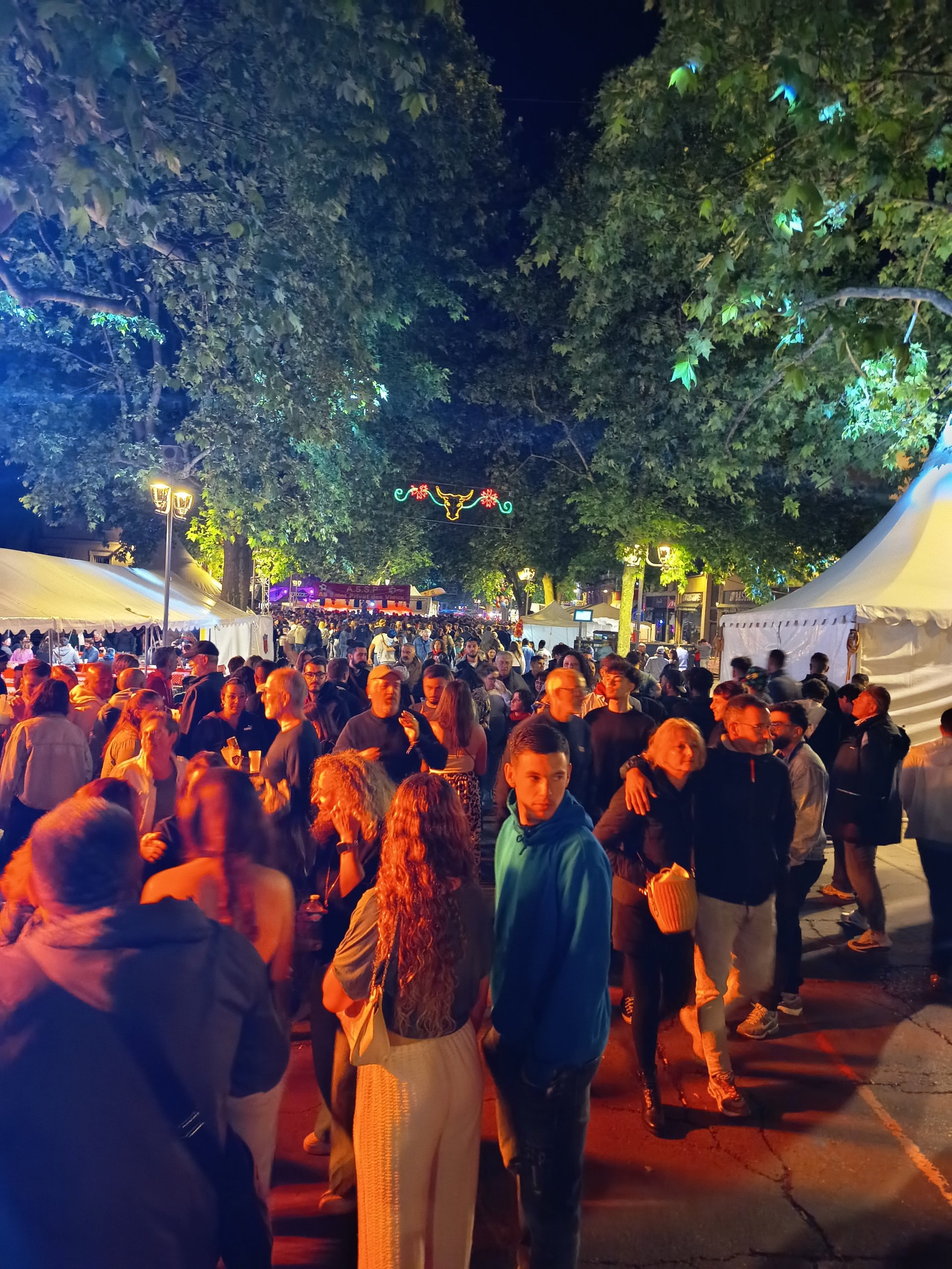 Féria d'Alès