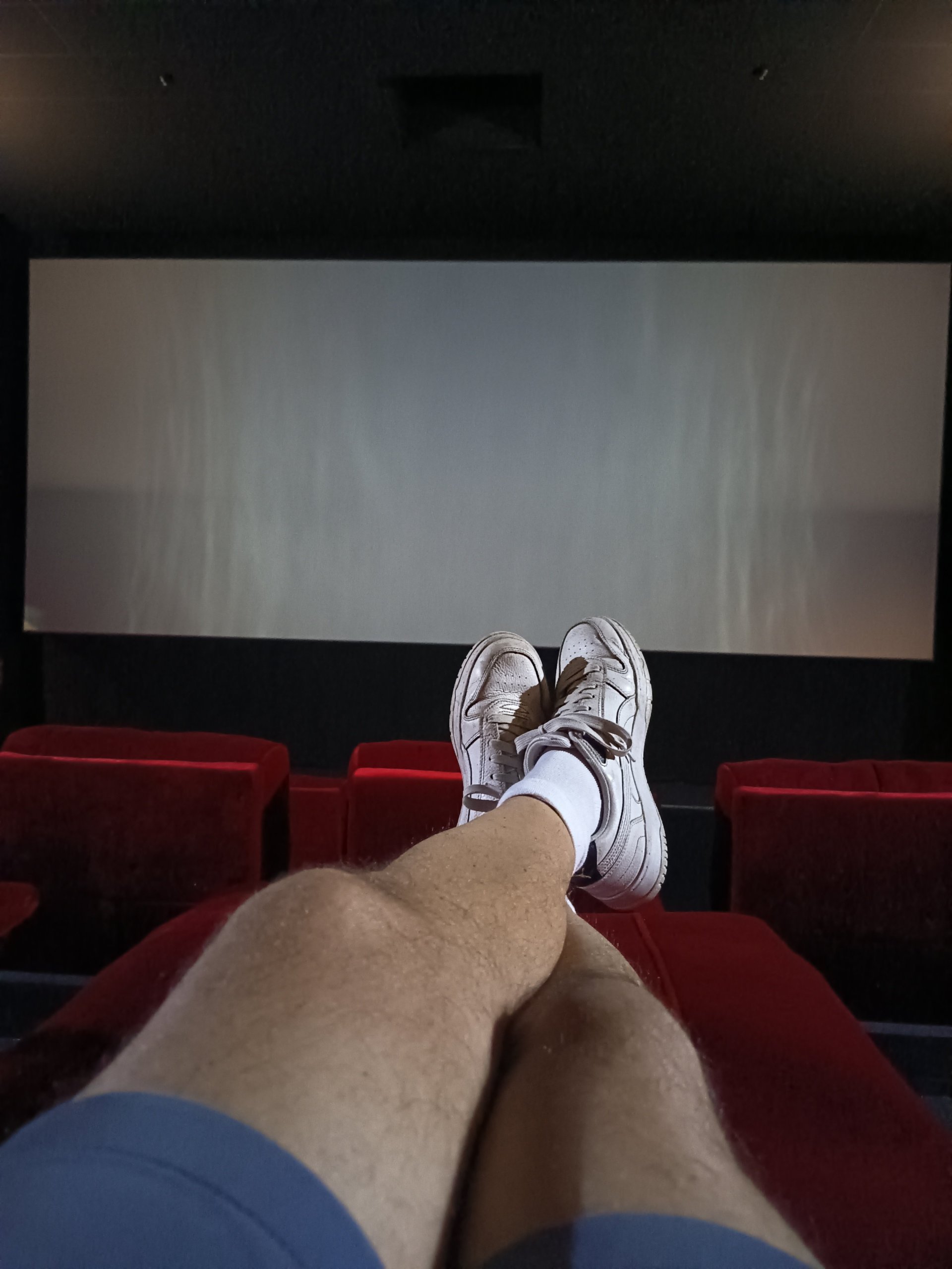 Au cinéplanet