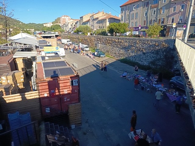 Puces du gardon