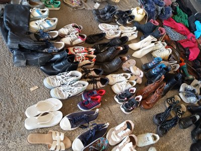 Puces du gradon.
Que de belles choses.