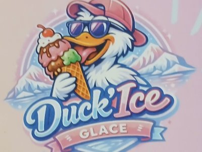Duck'Ice le glacier rue de beauteville à Alès.
